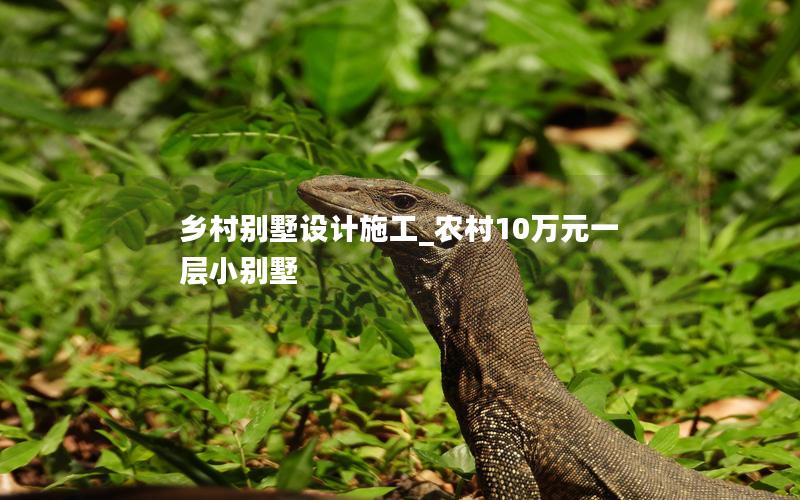 鄉(xiāng)村別墅設計施工_農(nóng)村10萬元一層小別墅